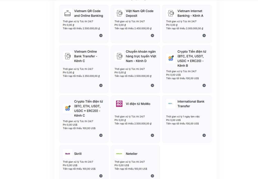 Các phương thức nạp và rút tiền của Tickmill tại Việt Nam