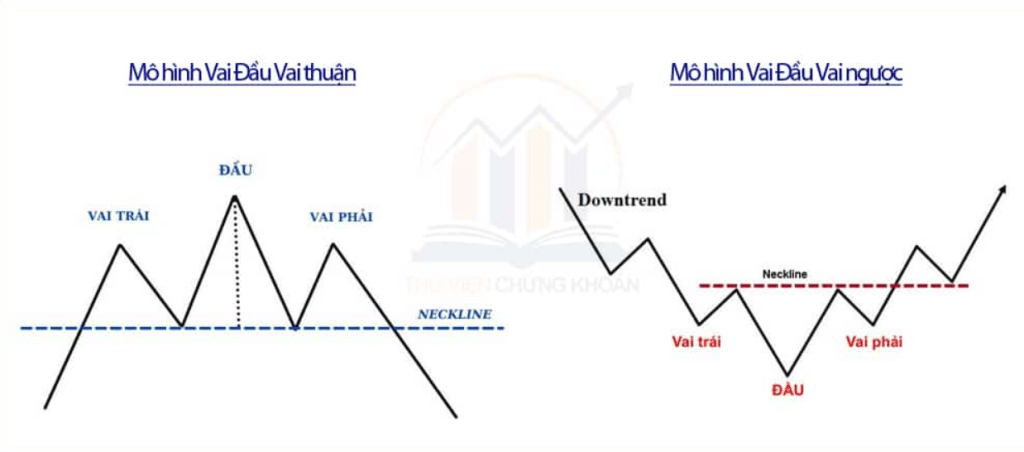 Ảnh chụp màn hình: Hình thái của mô hình vai đầu vai